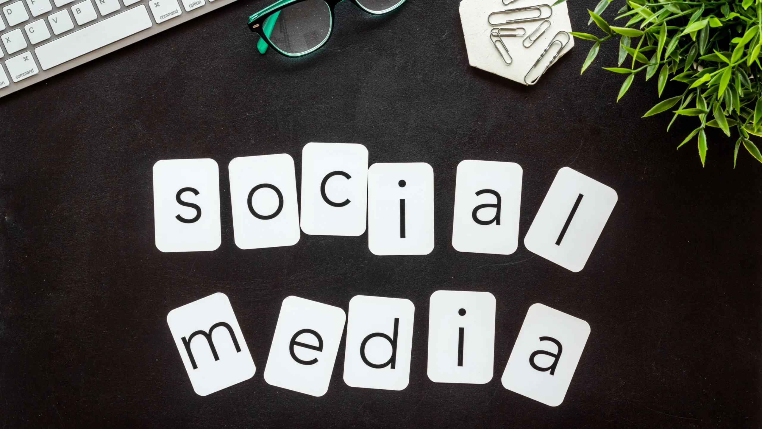 Social media marketing guide for small businesses in the USA